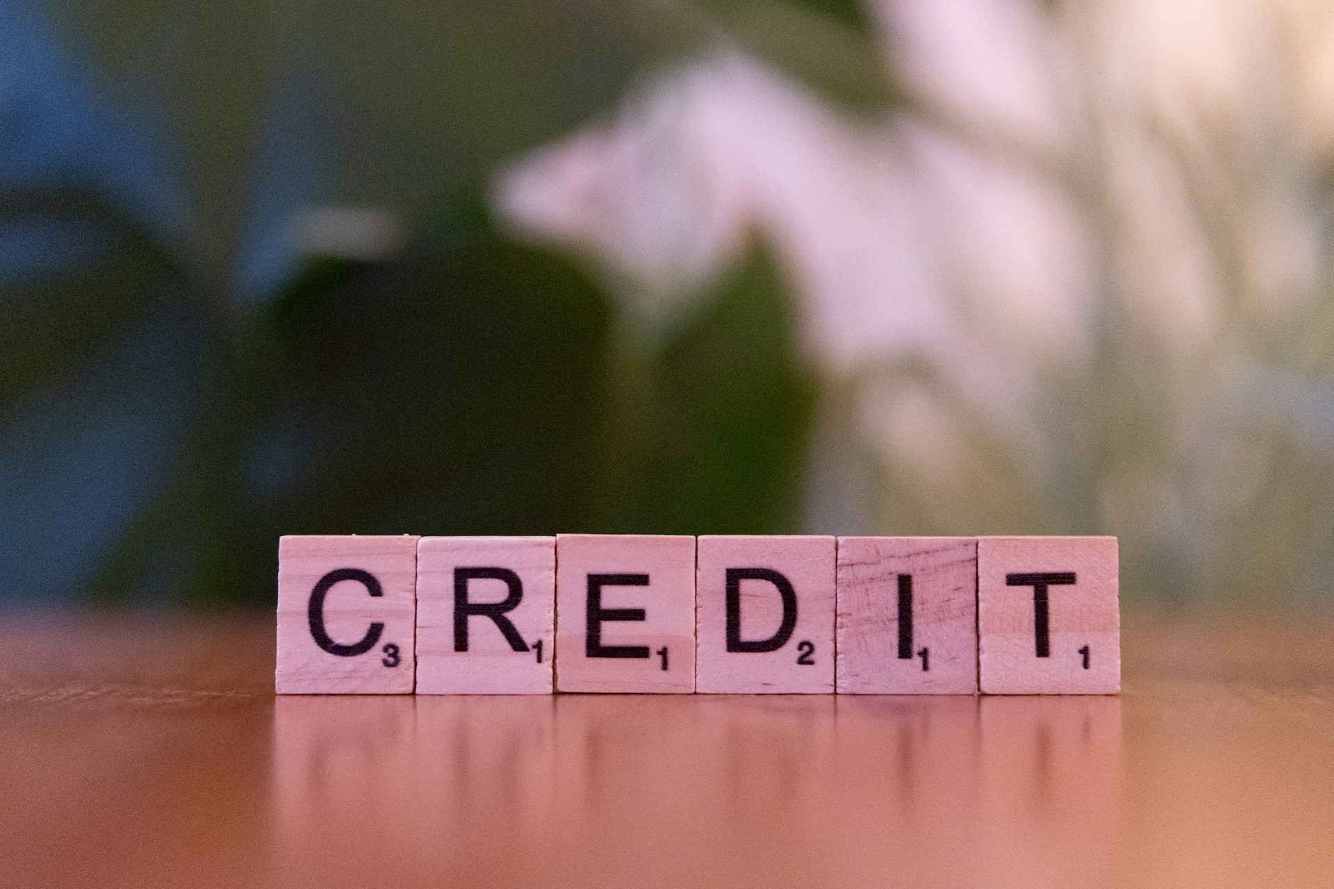 Credit Score Repair